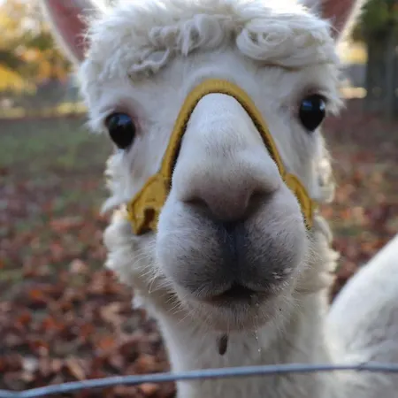 Robinson Crusoe Schwarzkittelpfad 80 Сasa de vacaciones